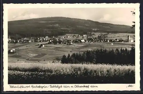 AK Bischofsgrün /Fichtelgeb., Teilansicht mit Ochsenkopf