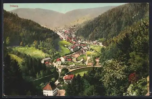 AK Triberg, Teilansicht mit Strassenpartie