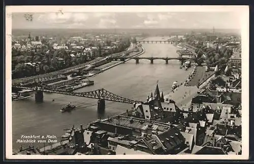 AK Alt-Frankfurt, Mainblick vom Dom