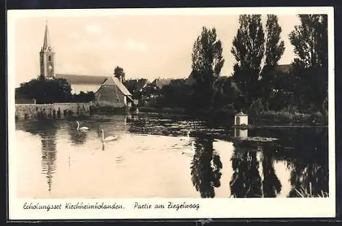 AK Kirchheimbolanden, Ziegelwoog mit Kirche