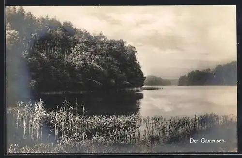 AK Tiefensee /Mark, Gamensee