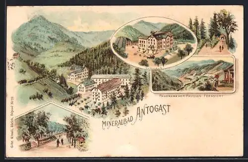 Lithographie Antogast, Mineralbad, Kurhaus, Panorama vom Pavillon aus