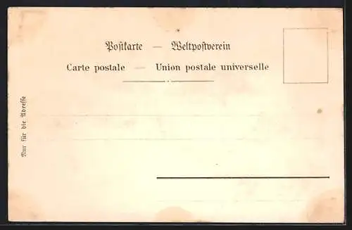 Lithographie Antogast, Mineralbad, Kurhaus, Panorama vom Pavillon aus