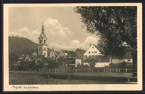 AK Pegnitz, Ortspanorama mit Schlossberg