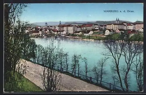 AK Marburg a. Drau, Ortspanorama mit Uferpromenade