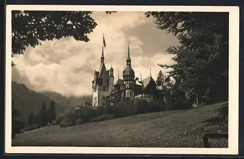 AK Sinaia, Schloss Peles