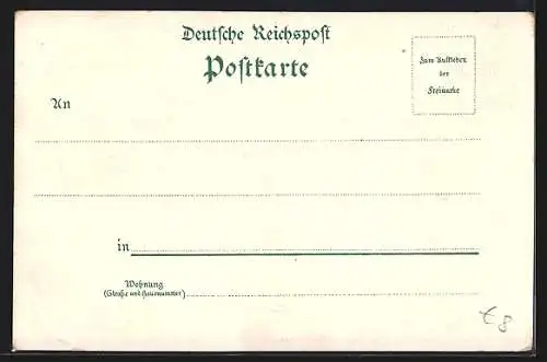 Lithographie Bad-Orb, Neues Bade-Hotel Schneeweis und Müller, Altes Bade-Hotel, Küppelsmühle