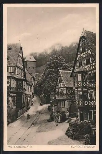 AK Miltenberg a.Main, Strasse am Schnatterloch