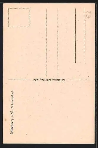 AK Miltenberg a.Main, Strasse am Schnatterloch