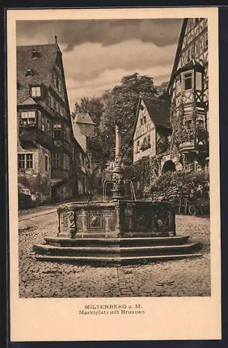 AK Miltenberg a. M., Marktplatz mit Brunnen