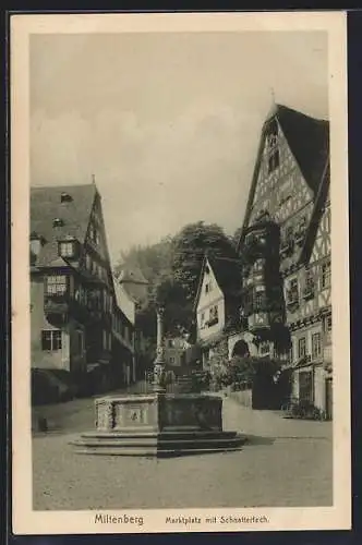 AK Miltenberg, Marktplatz mit Schnatterloch