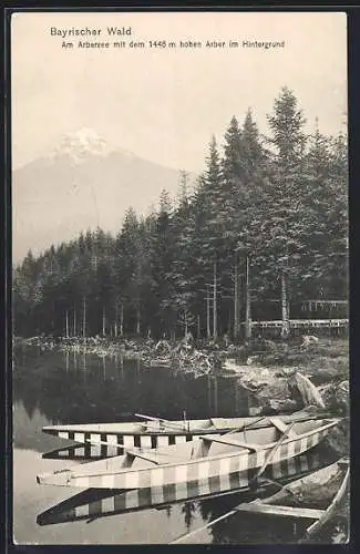 AK Arber /Bayrischer Wald, Am Arbersee mit dem Arber im Hintergrund