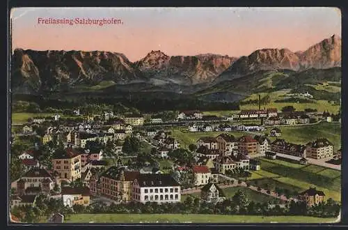 AK Freilassing-Salzburghofen, Panorama mit den Bergen