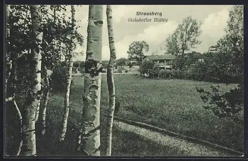 AK Strausberg, Blick auf die Gielsdorfer Mühle