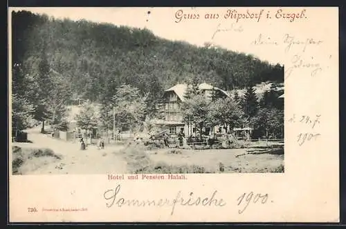 AK Kipsdorf i. Erzgeb., Hotel und Pension Halali