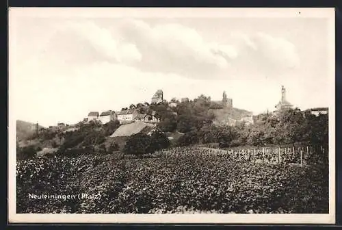 AK Neuleiningen / Pfalz, Ortsansicht