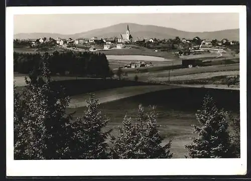 AK Eging /Bayer. Wald, Ortsansicht aus der Ferne