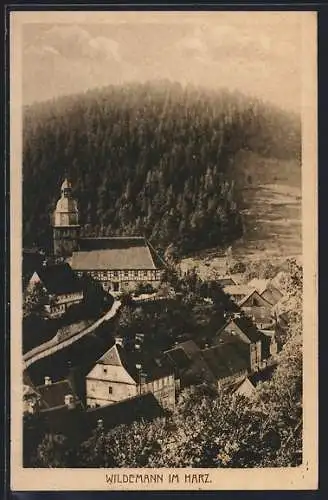 AK Wildemann /Harz, Teilansicht aus der Vogelschau