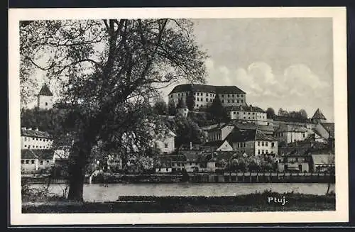 AK Ptuj, Teilansicht mit Schloss