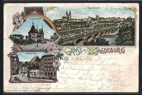 Lithographie Magdeburg, Lucas-Klause, Petriförder und Totalansicht