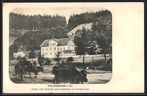 AK Wildemann i. H., Hotel und Pension Schützenhaus, Ansicht mit Kühen