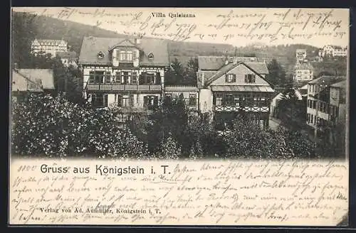 AK Königstein i. T., Villa Quisiana im Grünen