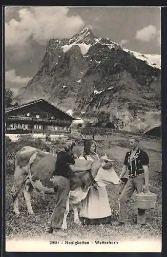 AK Grindelwald, Austausch von Neuigkeiten am Wetterhorn, Schweizer in Volkstracht mit Kuh