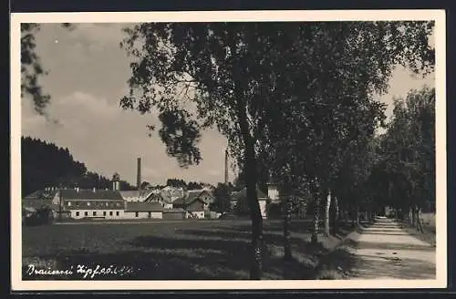 AK Neukirchen an der Vöckla, Blick vom Weg zur Brauerei Zipf