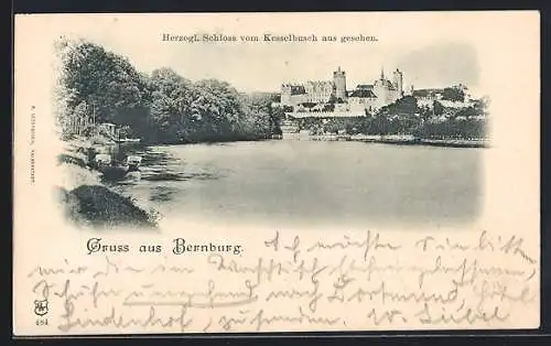 AK Bernburg, Herzogl. Schloss vom Kesselbusch aus gesehen