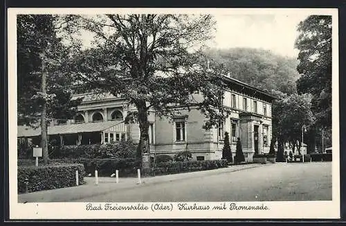 AK Bad Freienwalde /Oder, Kurhaus mit Promenade