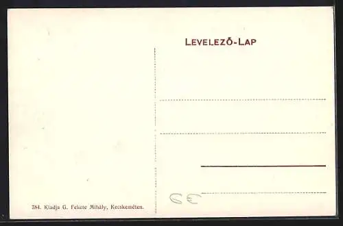 AK Kecskemét, Hotel Royal szálloda