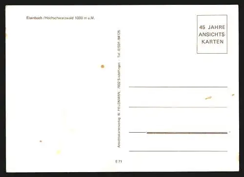 AK Eisenbach / Schwarzwald, Ortsansicht in den Hügeln