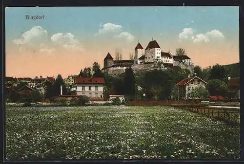 AK Burgdorf, Ortspanorama mit Burg von einer Blumenwiese aus