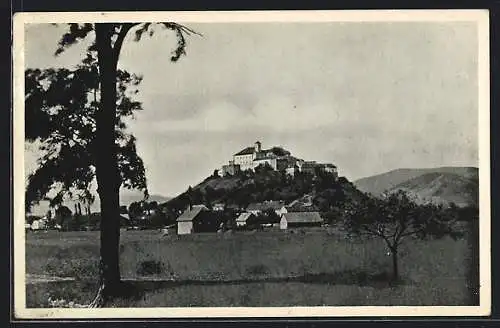 AK Mukacevo, Hrad, Panorama mit Burgblick