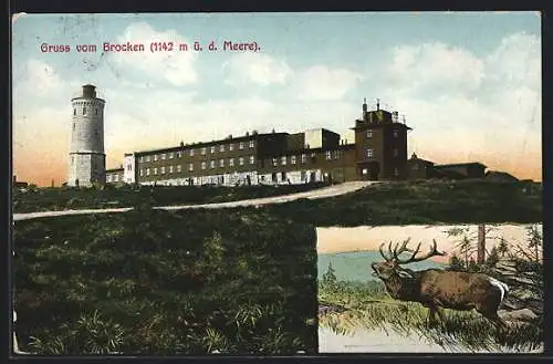 AK Brocken, Blick zum Brockenhotel und Aussichtsturm