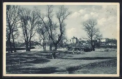 AK Uzhorod, Ortsansicht vom Stadtpark gesehen