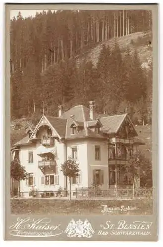 Fotografie H. Kaiser, St. Balsien, Ansicht St. Blasien, Blick auf die Pension Liebler