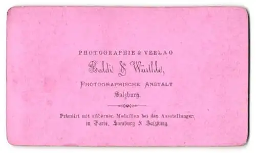 Fotografie Baldi & Würthle, Salzburg, Ansicht Saalfelden, Ortspartie mit Alpenpanorama