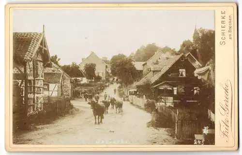 Fotografie Fritz Gerecke, Schierke, Ansicht Schierke, Hirte treibt Kuhherde durch den Ort