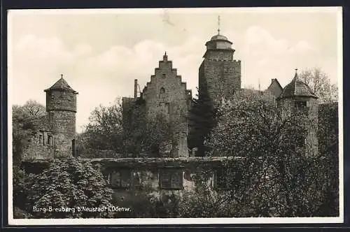 AK Neustadt / Odenwald, Burg Breuberg