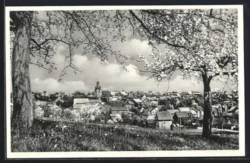 AK Vielbrunn i. Odw., Ortsansicht aus der Ferne