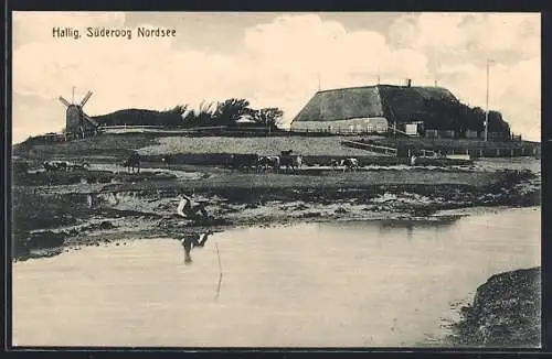 AK Hallig Süderoog, Windmühle