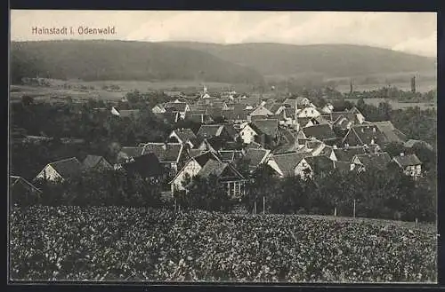 AK Hainstadt / Odenwald, Blick von der Bergwiese auf den Ort