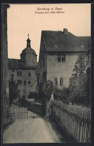 AK Dornburg /Saale, Eingang zum alten Schloss