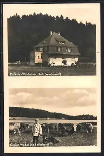 AK Seck, Kurhaus Waldesruh, Grosser Weiher mit Badestrand