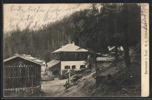 AK Bächental, K. k. Forsthaus am Waldrand