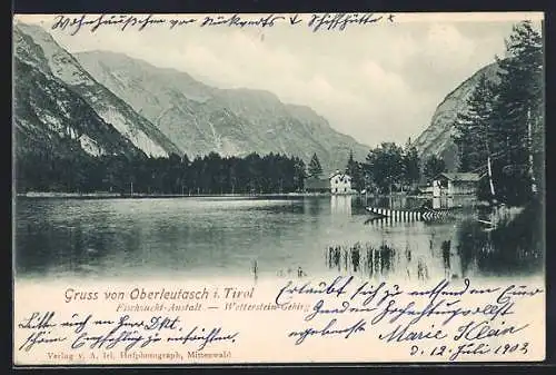 AK Oberleutasch i. Tirol, Fischzucht-Anstalt mit Wettersteingebirge