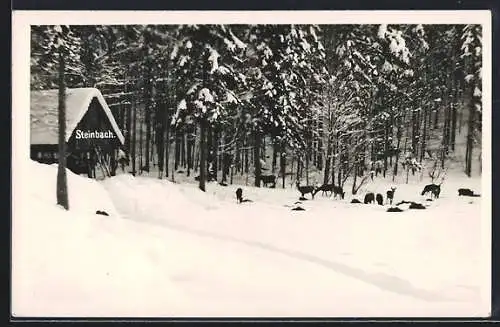 AK Steinbach, Rehe am Waldrand im Schnee