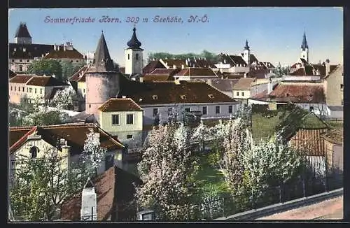 AK Horn, Ortspartie im Frühling