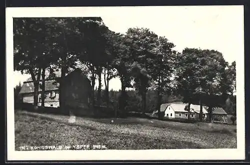 AK Königswald bei Ysper, Gehöft am Waldrand